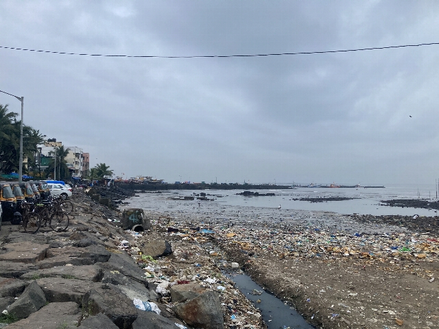 Towards Bandra: Ignore the plastic please
